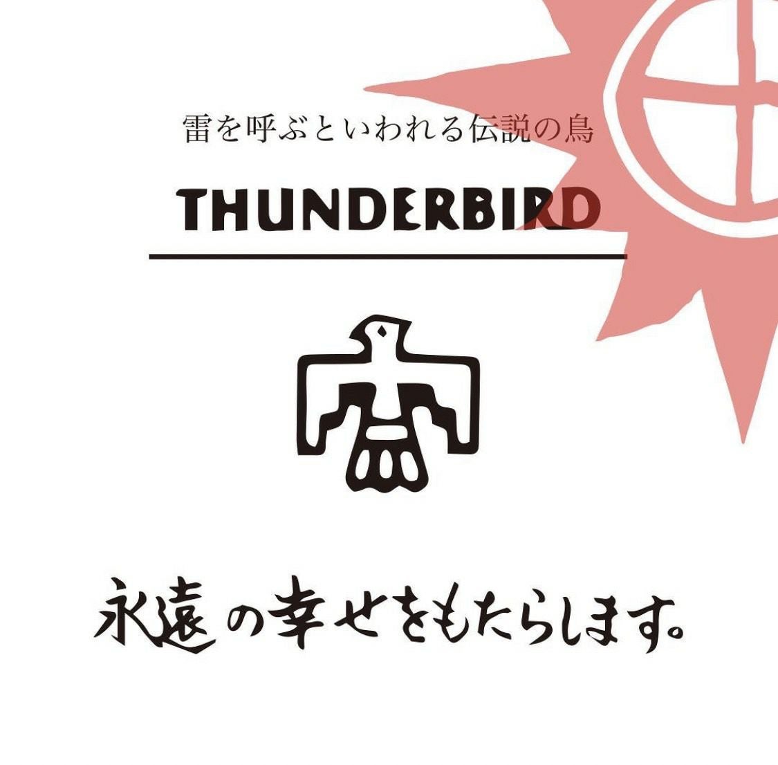 シンボルチャーム/THUNDERBIRD（コンビ） | REDMAN.